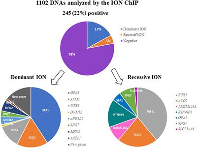 Use of Next-Generation Sequencing for the Molecular Diagnosis of 1,102 Patients With a Autosomal Optic Neuropathy